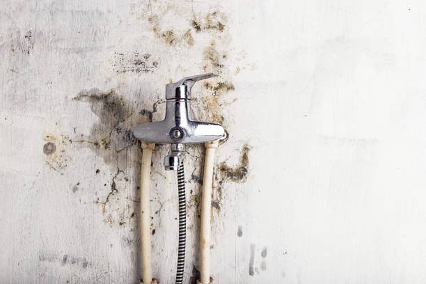 Best Mold Remediation for Schools in Nicoma Park, OK