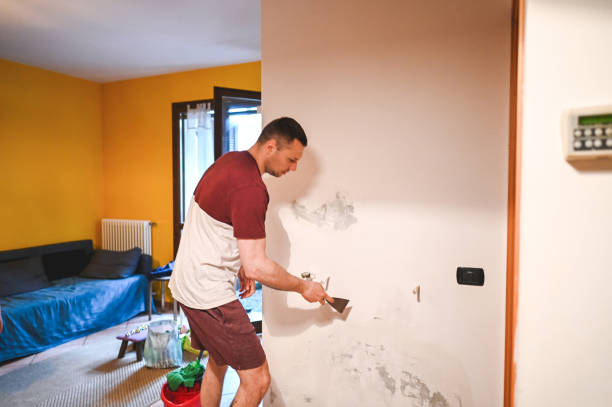 Best Post-Remediation Services in Nicoma Park, OK