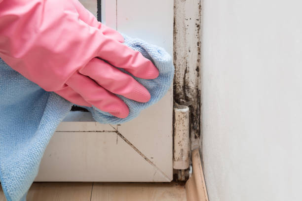 Best Industrial Mold Remediation in Nicoma Park, OK